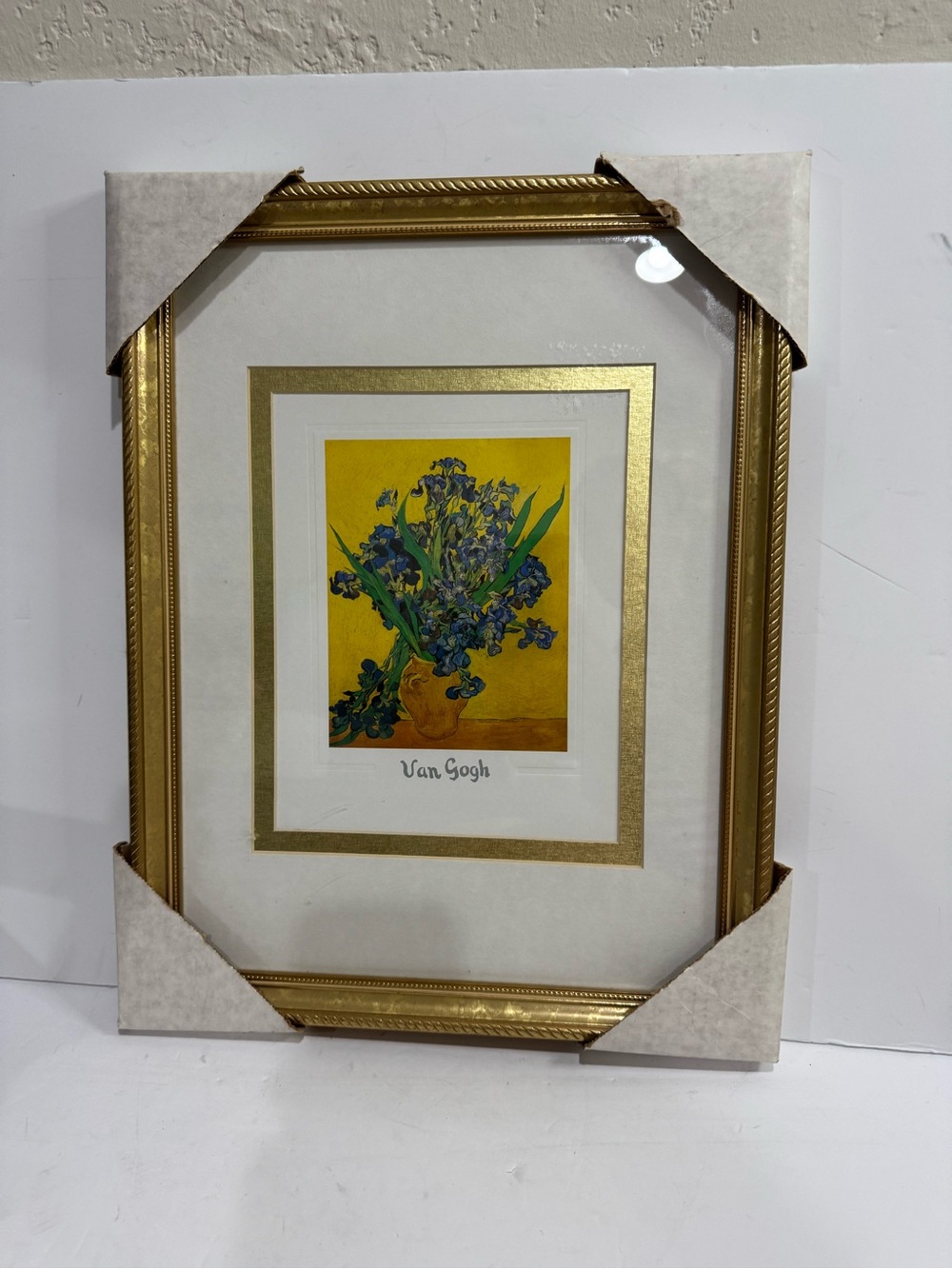 Framed Van Gogh "Irises" Art Print